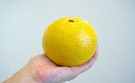 植田農園 土佐文旦 2L～3L10kg 家庭用 文旦［1537-2］