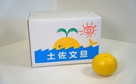 植田農園 土佐文旦 2L～3L10kg 家庭用 文旦［1537-2］