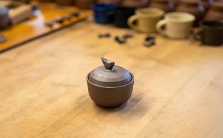 シロチドリ の 塩壷 と 塩さじ セット （いごてつの 天日塩 2袋付き）［1495］