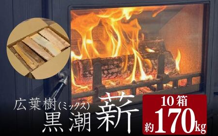 【黒潮薪】 10箱 170kg 薪 ［1606-2］