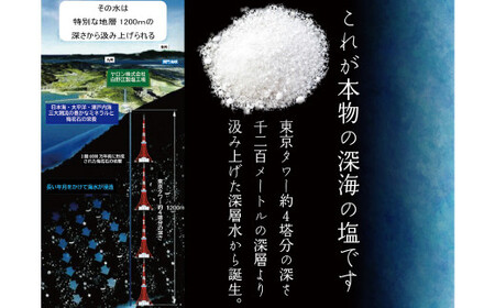 深海の恵み 関門の塩 合計1000g (1kg×1袋) ミネラル 塩 調味料 塩分濃度86.1％ カルシウム マグネシウム カリウム しお