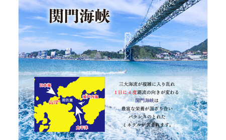 深海の恵み 関門の塩 合計1000g (1kg×1袋) ミネラル 塩 調味料 塩分濃度86.1％ カルシウム マグネシウム カリウム しお