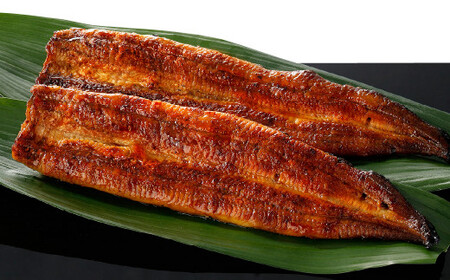 北九州銘品セット (揚子江・鰻天屋)揚子江特製 豚まん堪能セット(豚まん×10個) &九州産 手焼き 炭火 うなぎ 蒲焼 2尾 計240g以上