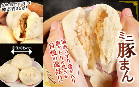 【 揚子江の 豚まん × 東筑軒 かしわめし コラボ セット 】★ 北九州の有名ソウルフードがセットになりました★ (揚子江：豚まん×2個、ミニ豚まん×6個、東筑軒：かしわめし×3食) 詰め合わせ 中華まん 肉まん