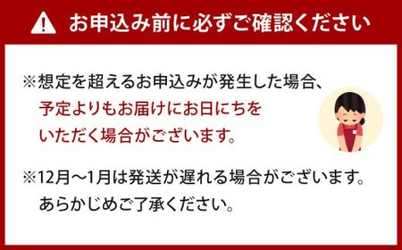 九州産 手焼き 炭火 うなぎ 蒲焼 3尾 計360g以上 (1尾あたり120～149g)