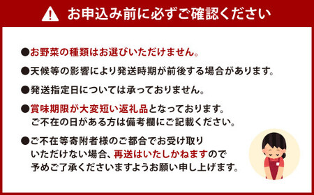 自家製 ドレッシング 「にじどれ」 3本 と 旬の野菜 セット 野菜 サラダ 調味料 北九州市産