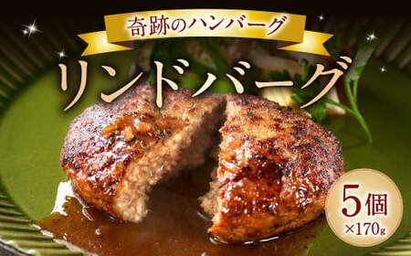 奇跡のハンバーグ リンドバーグ  170g×5個 計850g