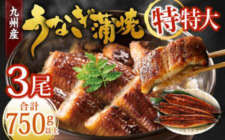 【丑の日／配達日指定可能】九州産 うなぎ蒲焼 特特大3尾 (1尾あたり250～266g) 合計750g以上