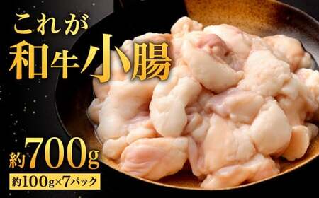 これが和牛小腸 約700g (約100g×7パック) 10,500円