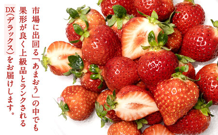 福岡県産特産品 うまもぐ厳選果物 福岡県産 博多あまおう DX上級品 約1.5kg（約250g×6パック入り）【2026年2月上旬-3月上旬発送】あまおう いちご 苺 イチゴ 果物 フルーツ