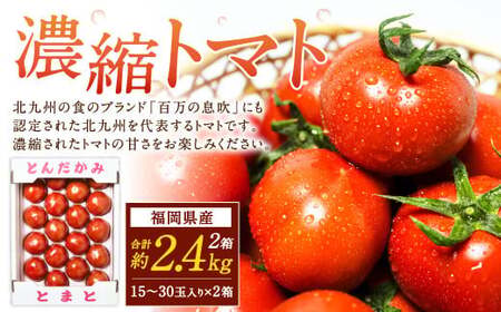 福岡県北九州市若松区産 若松濃縮トマト 約2.4kg 【1.2kg箱（15玉～30玉入り）×2箱】【2026年3月上旬～6月下旬発送予定】トマト とまと 野菜 国産 北九州市産