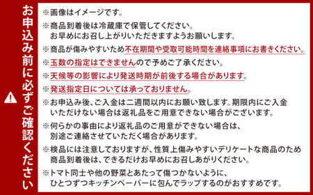 福岡県北九州市若松区産 若松濃縮トマト 約2.4kg 【1.2kg箱（15玉～30玉入り）×2箱】【2026年3月上旬～6月下旬発送予定】トマト とまと 野菜 国産 北九州市産