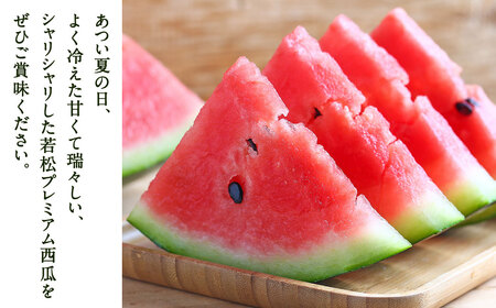 福岡県 北九州市 若松産 【優等品】 潮風プレミアム 西瓜 約7kg(1玉入り)【2026年7月下旬から8月上旬発送予定】すいか スイカ フルーツ 果物 くだもの