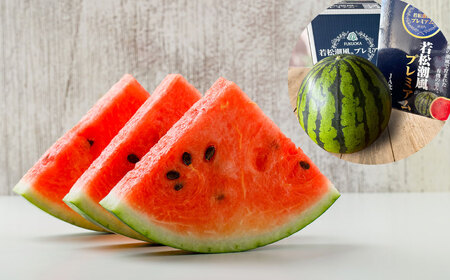 福岡県 北九州市 若松産 【優等品】 潮風プレミアム 西瓜 約7kg(1玉入り)【2026年7月下旬から8月上旬発送予定】すいか スイカ フルーツ 果物 くだもの