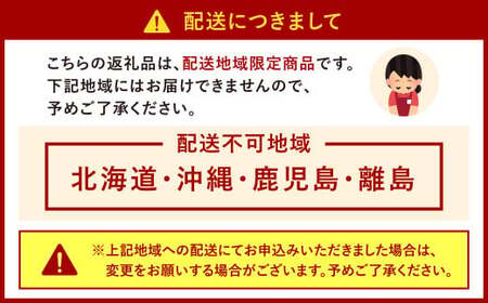 【2024年12月31日着】 北九州くいだおれ本陣 生おせち豪華三段重 3～4人前 おせち お節 おせち料理 三段重 冷蔵 先行予約 おせち料理2025