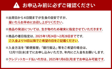 【配送不可地域あり】【配達日時指定必須】産地直送！ 生食 豊前海一粒かき（5kg） 江口商店 【限定30セット】牡蠣 生牡蠣 ブランド 一粒牡蠣 濃厚