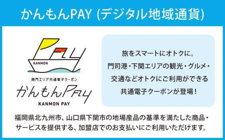 かんもんPAY 3,300円分 関門エリア 共通電子クーポン 門司港 下関 電子クーポン クーポン