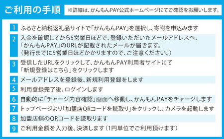 かんもんPAY 3,300円分 関門エリア 共通電子クーポン 門司港 下関 電子クーポン クーポン