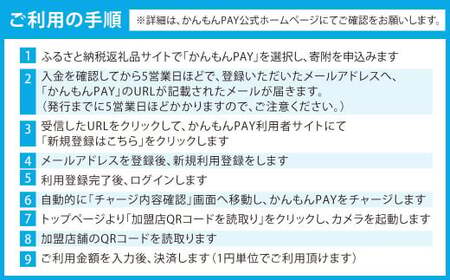 かんもんPAY 6,600円分 関門エリア 共通電子クーポン 門司港 下関 電子クーポン クーポン