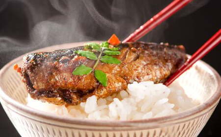 【6ヶ月定期便】小倉郷土料理 ぬか炊き10パックセット ｜ ぬか炊き 郷土料理 さば いわし さんま 定期便 セット 福岡 北九州