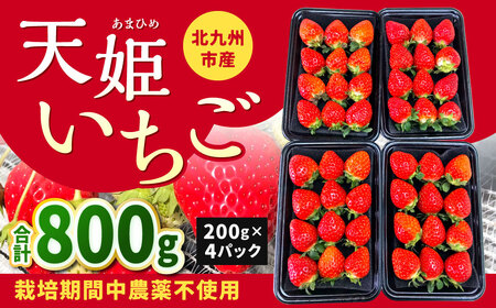 【栽培期間中農薬不使用】天姫（あまひめ）イチゴ 200g×4パック 合計800g【2026年2月上旬～3月下旬発送予定】いちご 苺 フルーツ 果物 くだもの 福岡県 北九州市
