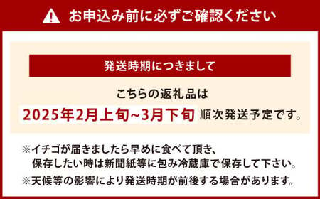 【栽培期間中農薬不使用】天姫（あまひめ）イチゴ 200g×2パック 合計400g 【2025年2月上旬～3月下旬発送予定】いちご 苺 フルーツ 果物 くだもの 福岡県 北九州市