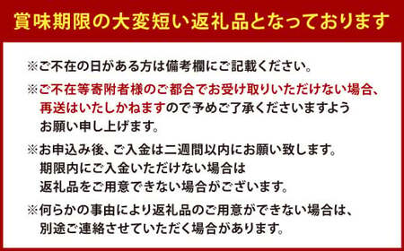 【栽培期間中農薬不使用】天姫（あまひめ）イチゴ 200g×2パック 合計400g 【2025年2月上旬～3月下旬発送予定】いちご 苺 フルーツ 果物 くだもの 福岡県 北九州市