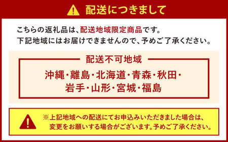 【栽培期間中農薬不使用】天姫（あまひめ）イチゴ 200g×2パック 合計400g 【2025年2月上旬～3月下旬発送予定】いちご 苺 フルーツ 果物 くだもの 福岡県 北九州市