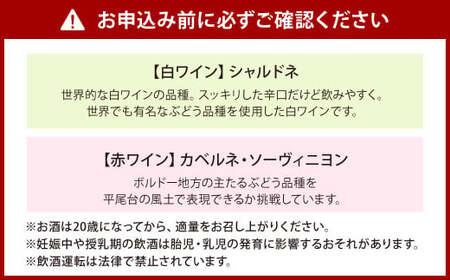 平尾台白ワイン・シャルドネ（730ml）と 平尾台赤ワイン カベルネ・ソーヴィニヨン（750ml）2本セット ワイン 飲み比べ 赤白ワイン セット お酒