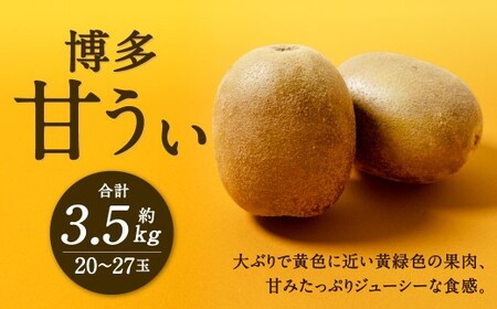 福岡県産 博多甘うぃ 約3.6kg（20玉～27玉入り）【2026年10月下旬～11月下旬発送予定】キウイ キウイフルーツ フルーツ 果物 くだもの 先行予約