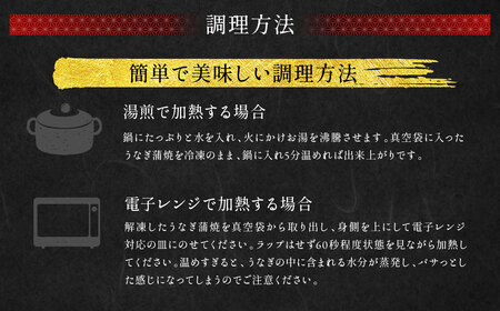【10営業日発送】九州産 手焼き炭火うなぎ蒲焼 ＆ うなぎ蒲焼 食べ比べ 2尾 セット うなぎ 蒲焼 冷凍 年内配送