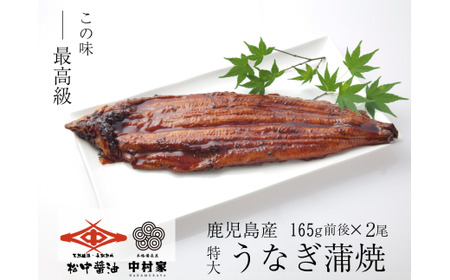 【120年老舗醤油蔵仕込みのたれと関門の塩】高級鰻 蒲焼 （165g前後）×2尾 合計330g前後 タレ付 山椒小袋 うなぎ 蒲焼き 冷凍 国産