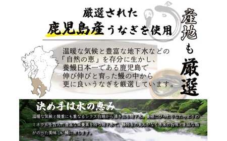 【120年老舗醤油蔵仕込みのたれと関門の塩】高級鰻 蒲焼 （165g前後）×2尾 合計330g前後 タレ付 山椒小袋 うなぎ 蒲焼き 冷凍 国産
