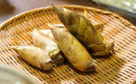 合馬たけのこご飯セット たけのこご飯の素 計約540g（約180g×3） 夢つくし 計2kg（1kg×2） ご飯の素 ごはんの素 精米 お米 米 セット