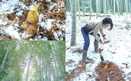 合馬たけのこご飯セット たけのこご飯の素 計約540g（約180g×3） 夢つくし 計2kg（1kg×2） ご飯の素 ごはんの素 精米 お米 米 セット