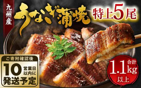 九州産 うなぎ 蒲焼 特上 5尾 計1.1kg以上 (1尾あたり220～235g)【順次発送】