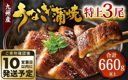 九州産 うなぎ 蒲焼 特上 3尾 計660g以上 (1尾あたり220～235g)【順次発送】