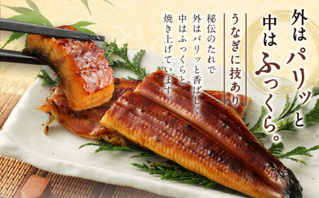 九州産 うなぎ 蒲焼 上 3尾 (1尾あたり160～189g)【順次発送】