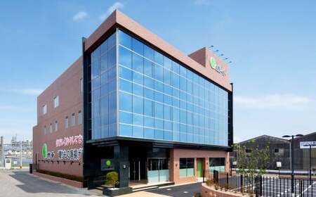 カリッととり24袋入 おやつ 駄菓子 鶏 とりかわ スナック チップス 唐揚げ 常温 福岡 北九州市