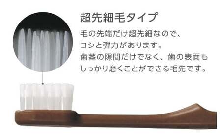 竹バイオマスハブラシと歯磨き粉のセット 25袋 歯ブラシ 歯磨き粉  歯磨き はみがき マウスケア 健康 竹製歯ブラシ 国産 九州 福岡県 北九州市