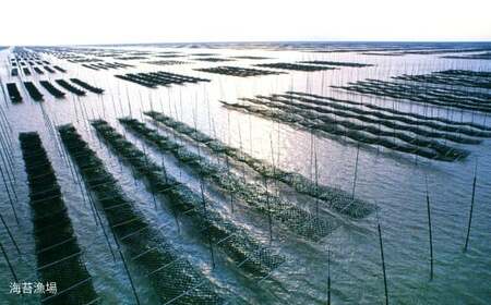 海王 一番摘み焼海苔 5枚入×4袋 計20枚  焼き海苔 板海苔 板のり のり 海苔 初摘み 香り 有明のり 有明海苔