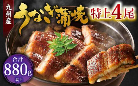 九州産 うなぎ 蒲焼 特上4尾 計880g以上 (1尾あたり220～235g)【2026年3月発送】