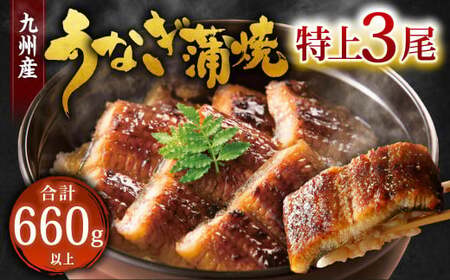 九州産 うなぎ 蒲焼 特上 3尾 計660g以上 (1尾あたり220～235g)【2026年3月発送】