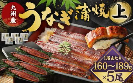 九州産 うなぎ 蒲焼 上 5尾 (1尾あたり160～189g)【2026年3月発送】 9,500円