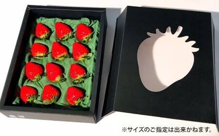 天姫 （あまひめ） イチゴ 【贈答用】（3L～4Lサイズ）12粒入り 1箱【2026年2月上旬～3月下旬発送予定】