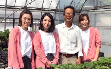 天姫 （あまひめ） イチゴ 【贈答用】（3L～4Lサイズ）12粒入り 1箱【2026年2月上旬～3月下旬発送予定】