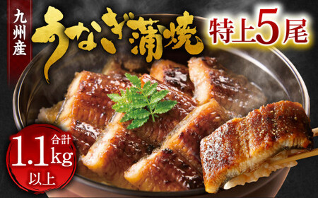 九州産 うなぎ 蒲焼 特上 5尾 計1.1kg以上 (1尾あたり220～235g)【2026年5月発送】