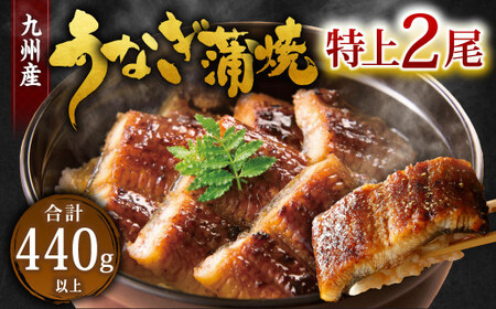 九州産 うなぎ 蒲焼 特上 2尾 計440g以上 (1尾あたり220～235g)【2026年4月発送】 9,375円