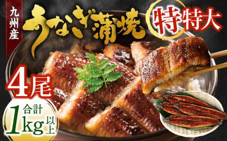 九州産 うなぎ蒲焼 特特大4尾 (1尾あたり250～266g) 合計：1kg以上【2026年6月発送】