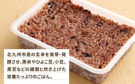 黒米と雑穀 発芽発酵玄米パックご飯 7食 ～タオの腸活デトックスごはん～ 常温保存 常温 米 お米 玄米 玄米パック 発芽玄米 発酵玄米 ご飯 ごはん 主食 レンジ 常温 福岡県 北九州市